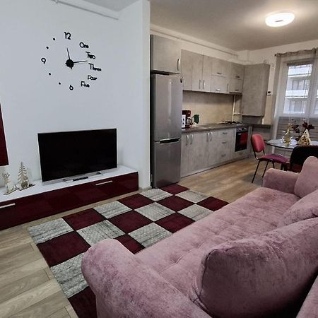 Ludi House Apartment Târgu-Mureş Exteriör bild