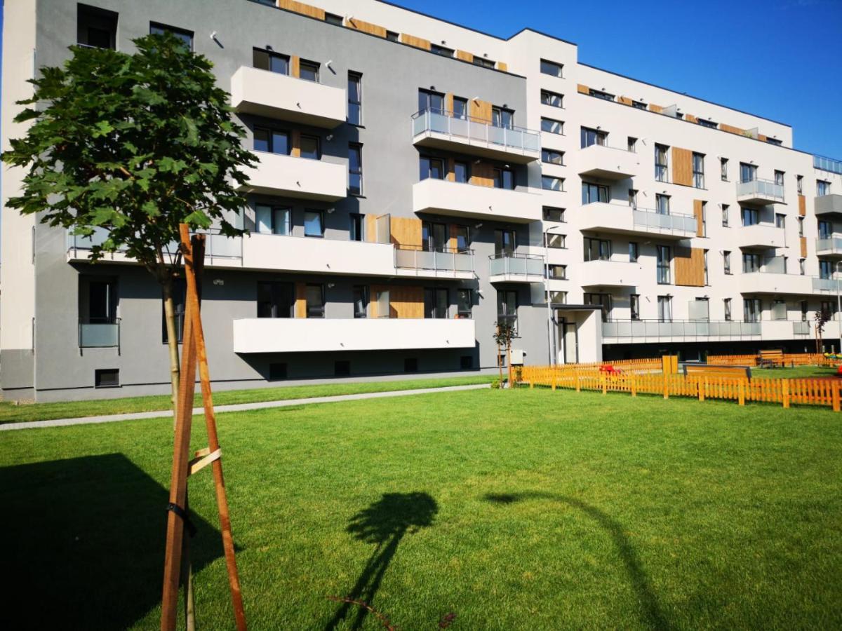 Ludi House Apartment Târgu-Mureş Exteriör bild