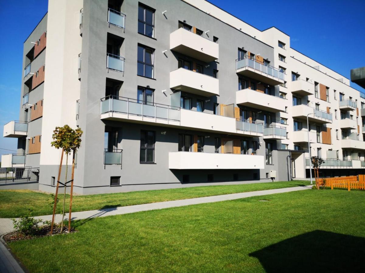 Ludi House Apartment Târgu-Mureş Exteriör bild